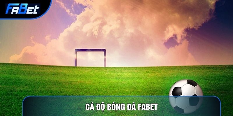 Thể Thao Fabet: Phân Tích Định Lượng Và Thuật Toán Tỷ Lệ - QIXON