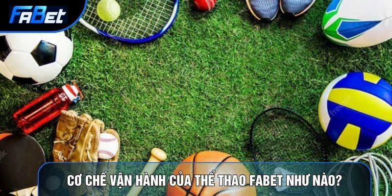 Thể Thao Fabet: Phân Tích Định Lượng Và Thuật Toán Tỷ Lệ - QIXON