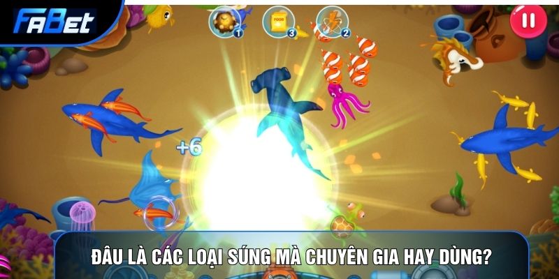 Các Loại Súng Bắn Cá: Vật Lý Vũ Khí Và Cơ Học Chất Lưu - QIXON