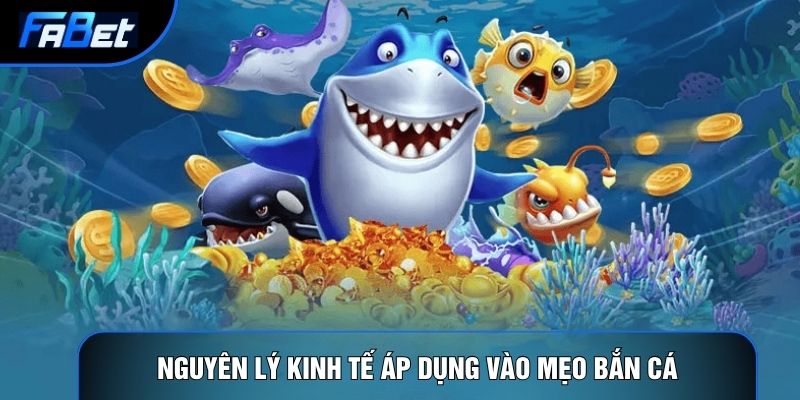 Mẹo Bắn Cá: Phân Tích Dữ Liệu Và Kinh Tế Học Hành Vi - QIXON