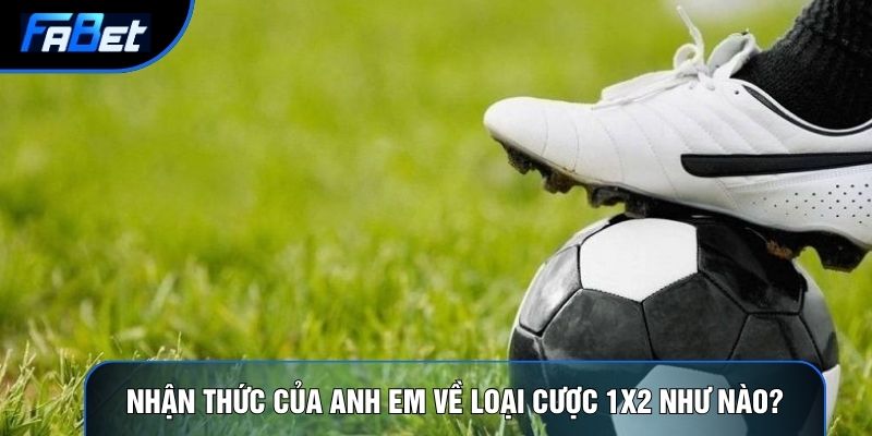 Kèo Châu Âu Fabet: Tài Chính Hành Vi Và Phân Tích Tâm Lý - QIXON