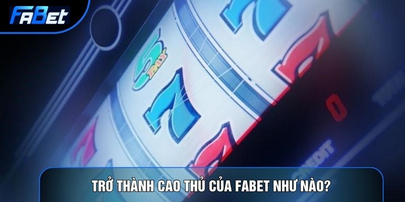 5 Chú Sư Tử Megaways: Chiến Thuật Nổ Hũ Và Phân Tích Thuật Toán - QIXON